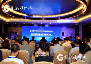 贵安新区引领贵州服务贸易创新发展 信息技术咨询服务成关键引擎